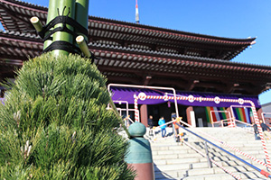hatsumoude4.jpg