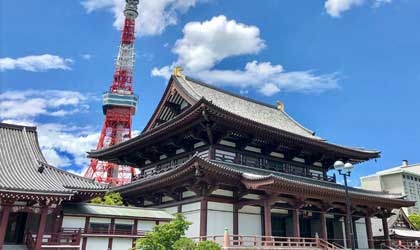 お知らせの背景