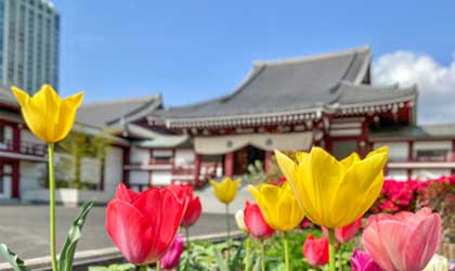 お知らせの背景