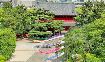 お知らせの背景