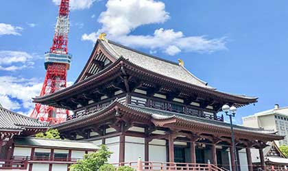 お知らせの背景