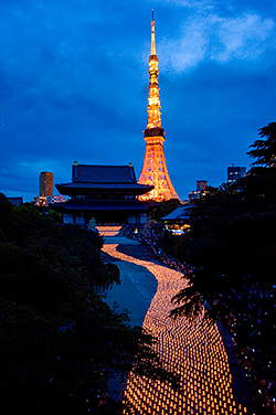 和紙キャンドル天の川